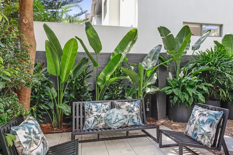Fourth view of Homely house listing, 5/151 Blair Street, North Bondi NSW 2026