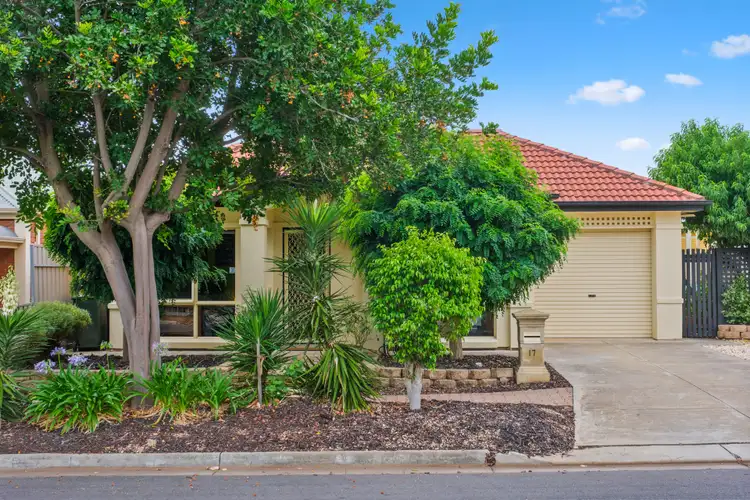 17 Lanark Avenue, Mitchell Park SA 5043