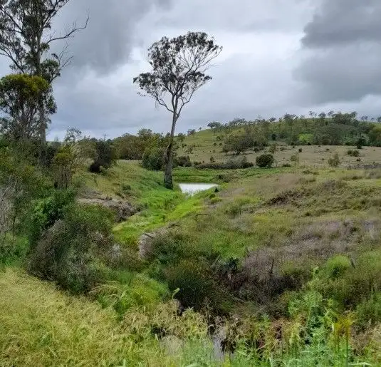 Main view of Homely rural property listing, 0 Oakey-Cooyar Road, Nutgrove QLD 4352
