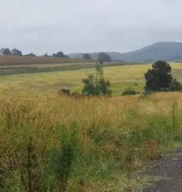 Second view of Homely rural property listing, 0 Oakey-Cooyar Road, Nutgrove QLD 4352