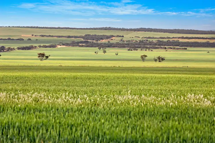 'Warmaluma' - 21298 Eyre Highway, Koongawa SA 5650