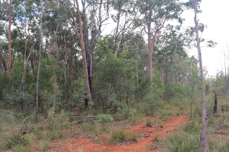 Sixth view of Homely rural property listing, 6012 Gayndah Hivesville Road, Abbeywood QLD 4613