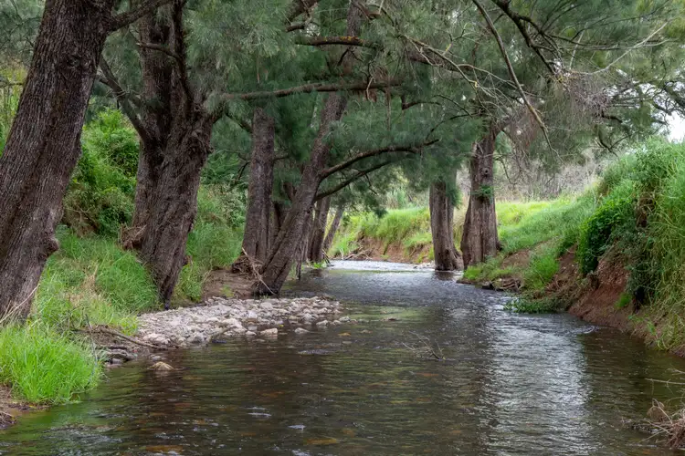 Third view of Homely rural property listing, 'Culwulla' 49 Oakvale Road, Tamworth NSW 2340