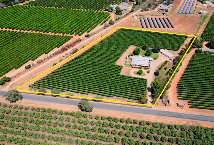 Second view of Homely house listing, 60 Chowilla Street, Renmark SA 5341