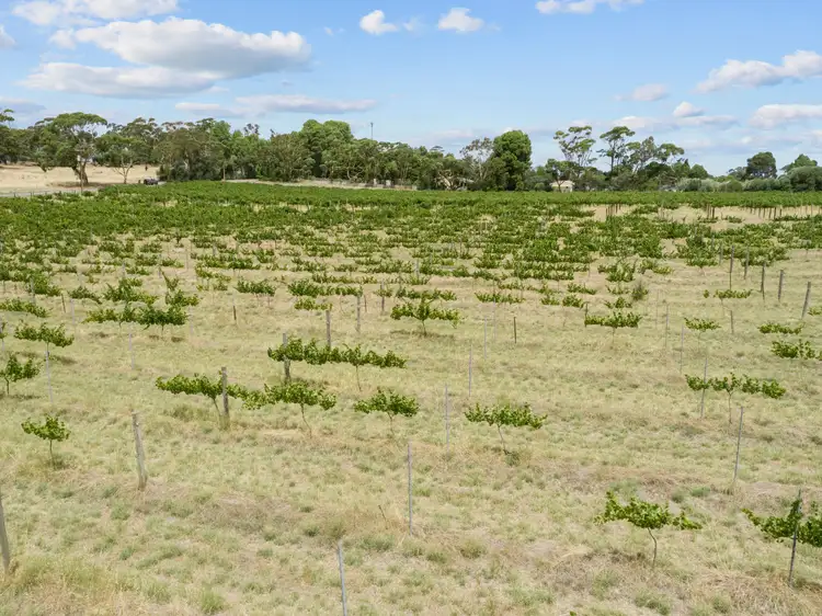 Seventh view of Homely land listing, Lot 383 Sheoak Road, Watervale SA 5452