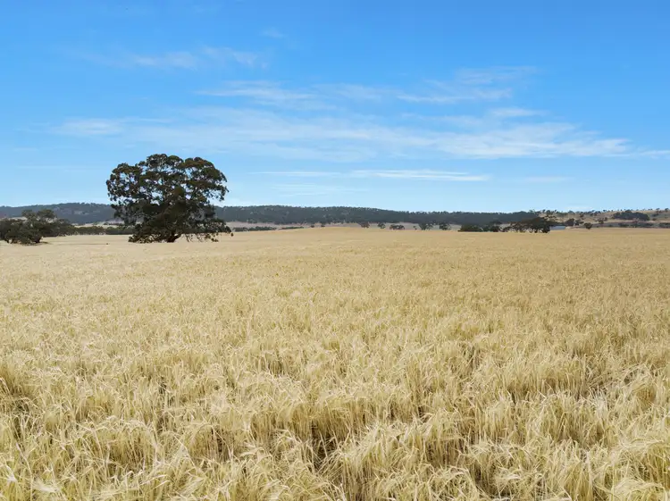 'Attunga' Gerkie Gap Road, Tothill Creek SA 5413