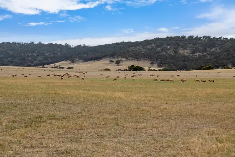 Third view of Homely rural property listing, 'Attunga' Gerkie Gap Road, Tothill Creek SA 5413