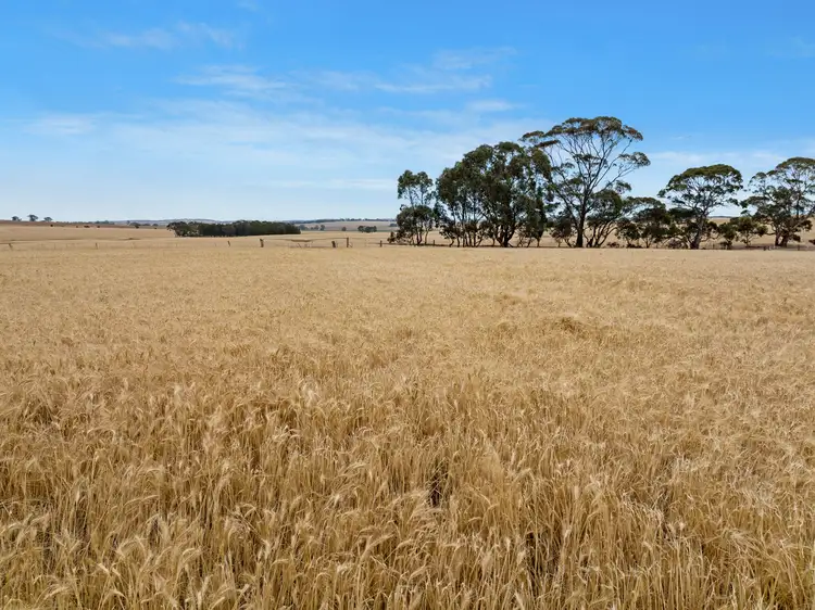 Fourth view of Homely rural property listing, 'Attunga' Gerkie Gap Road, Tothill Creek SA 5413