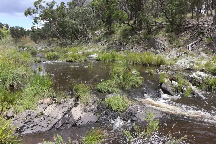 Main view of Homely rural property listing, 2/56 Six Mile Road, Dundee NSW 2370