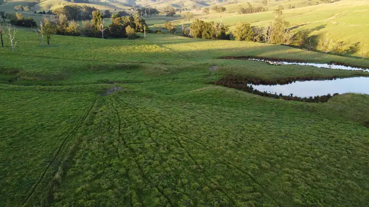 Second view of Homely rural property listing, Welshmans Creek Road, Wallarobba NSW 2420