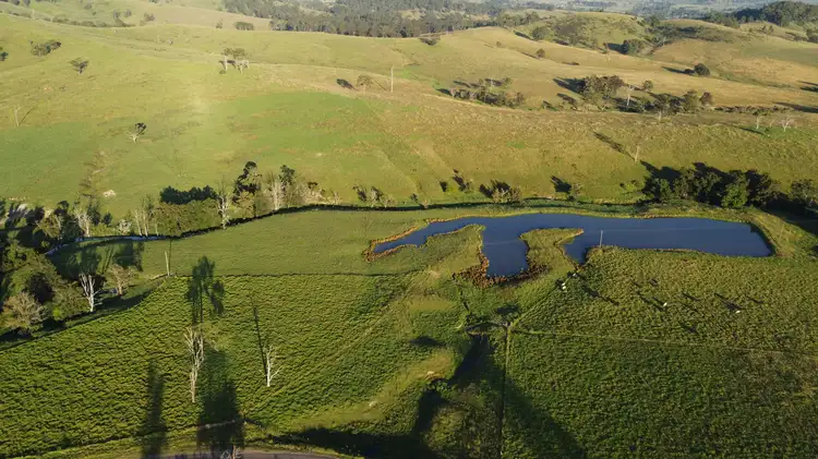Third view of Homely rural property listing, Welshmans Creek Road, Wallarobba NSW 2420