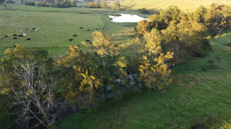 Fourth view of Homely rural property listing, Welshmans Creek Road, Wallarobba NSW 2420