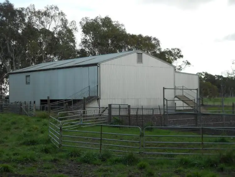 Fourth view of Homely rural property listing, 343 Cooper Road, Bordertown South SA 5268