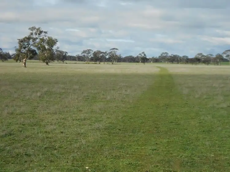 Sixth view of Homely rural property listing, 343 Cooper Road, Bordertown South SA 5268