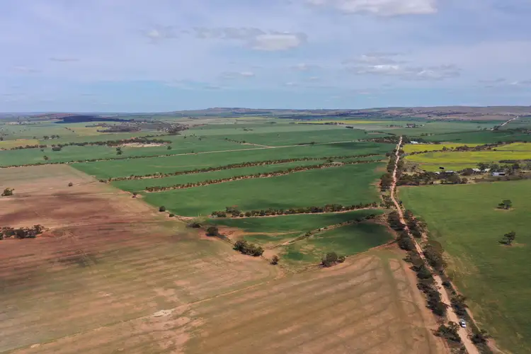 Second view of Homely rural property listing, 'Terry's' Foote Road, Neales Flat SA 5374