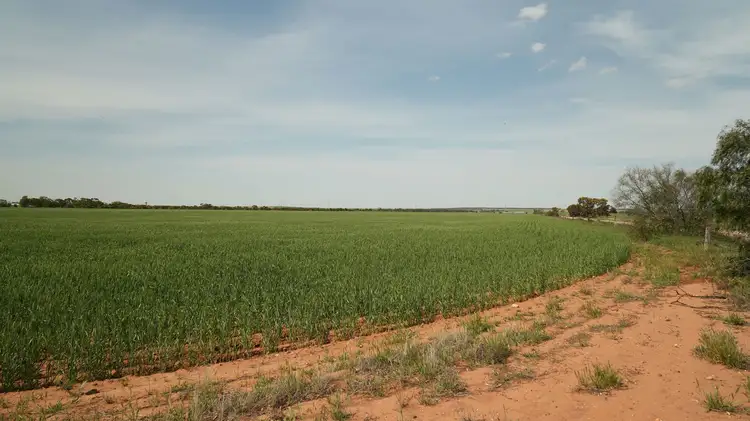 Fifth view of Homely rural property listing, 'Terry's' Foote Road, Neales Flat SA 5374