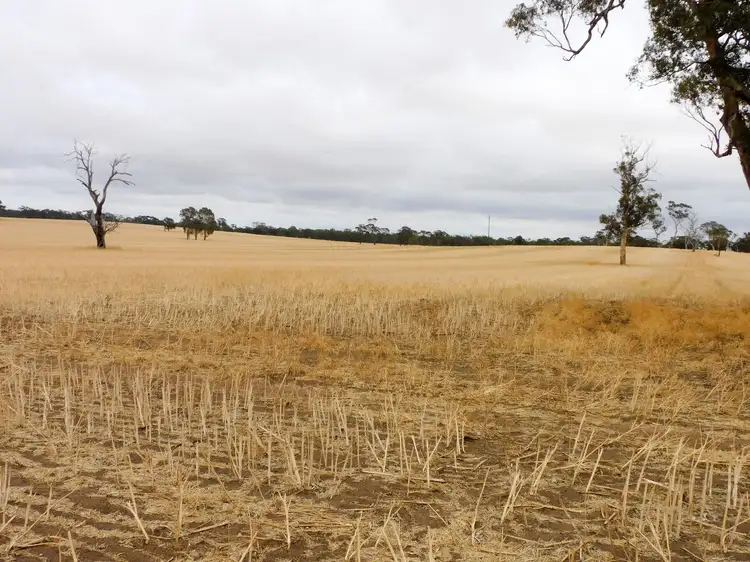 Main view of Homely rural property listing, proposed Lot 1 Teatrick Road, Wolseley SA 5269