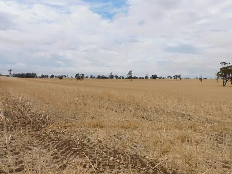 Fifth view of Homely rural property listing, proposed Lot 1 Teatrick Road, Wolseley SA 5269