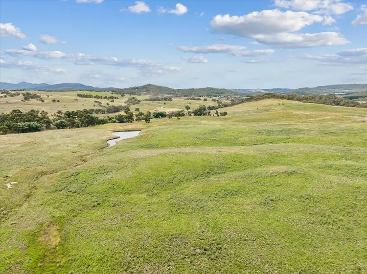 Main view of Homely rural property listing, 4436 Jerangle Road, Anembo NSW 2621