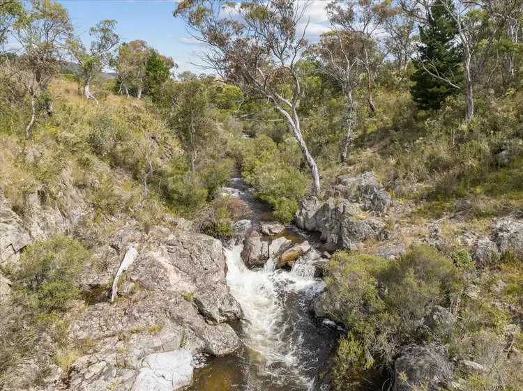 Third view of Homely rural property listing, 4436 Jerangle Road, Anembo NSW 2621