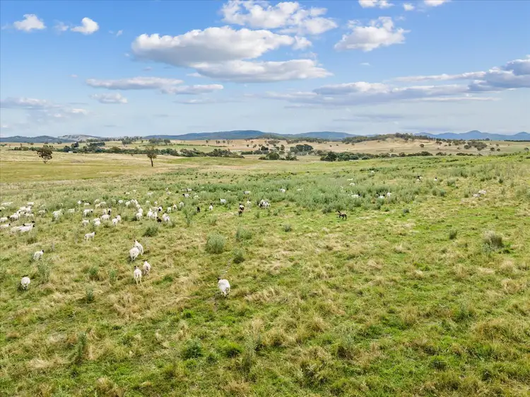 Fifth view of Homely rural property listing, 4436 Jerangle Road, Anembo NSW 2621