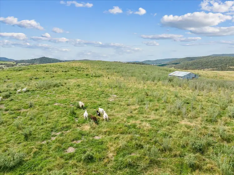 Seventh view of Homely rural property listing, 4436 Jerangle Road, Anembo NSW 2621
