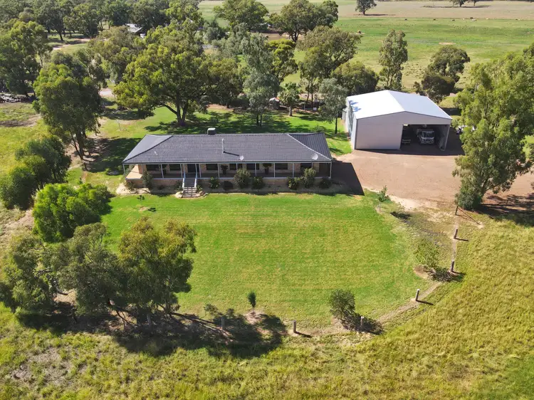 98 Yellow Box Road, Forbes NSW 2871
