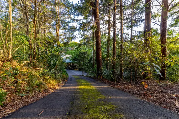 6/652 Maleny Montville Road, Balmoral Ridge QLD 4552