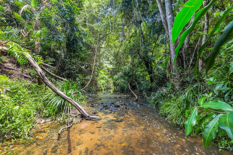 8 Masons Road, Kuranda QLD 4881