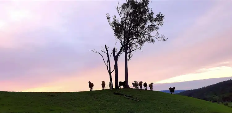 Fifth view of Homely rural property listing, Address available on request