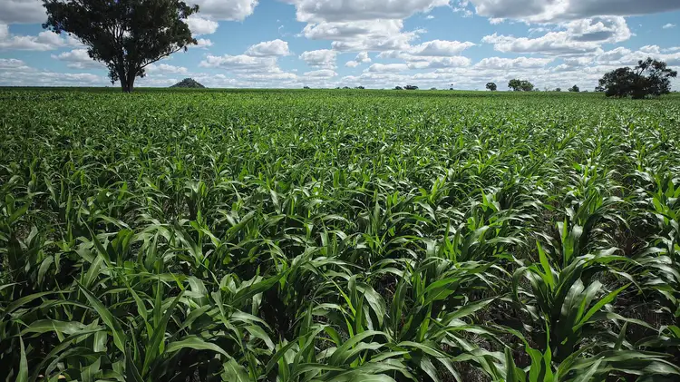 Third view of Homely rural property listing, Address available on request