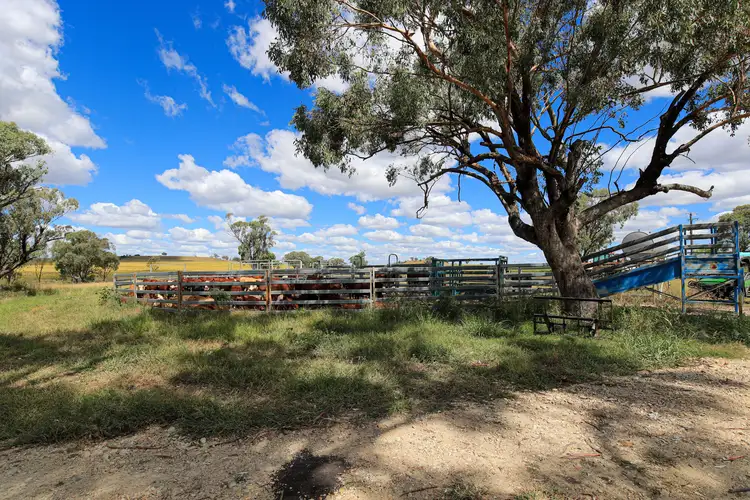 Seventh view of Homely rural property listing, Address available on request