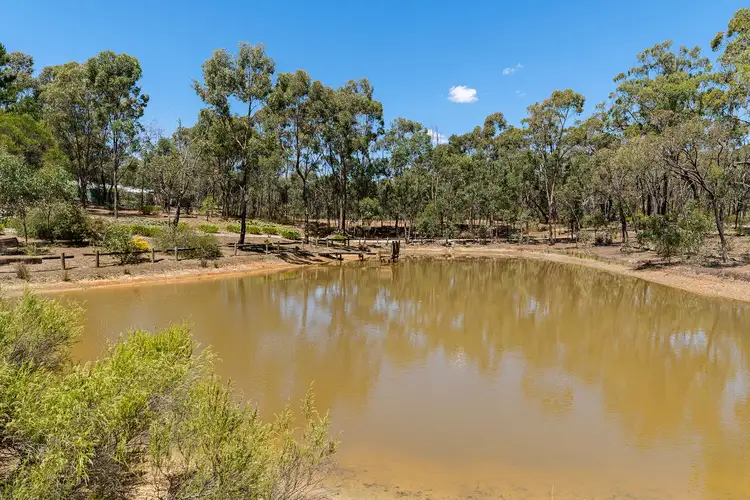 Third view of Homely house listing, 43 Youngs Lane, Heathcote VIC 3523