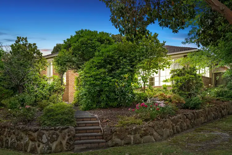 Main view of Homely house listing, 34 Sonia Street, Ringwood VIC 3134