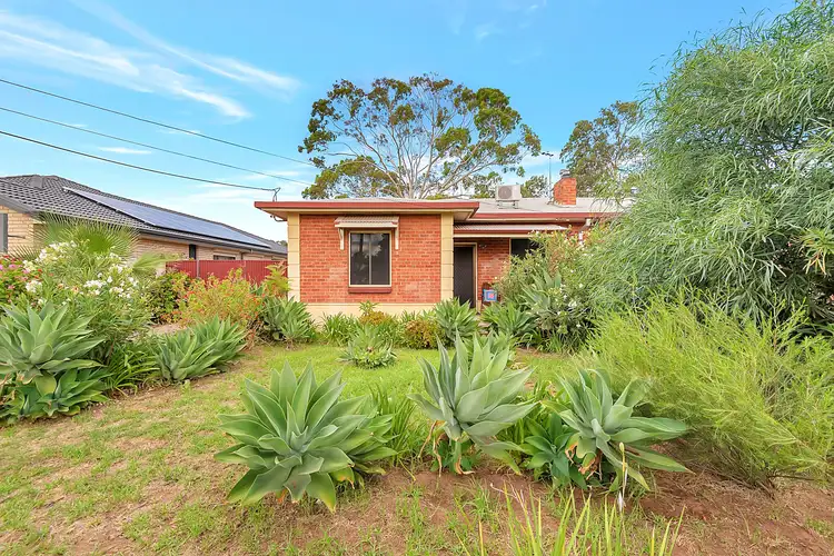 Second view of Homely house listing, 41 Tyne Avenue, Kilburn SA 5084