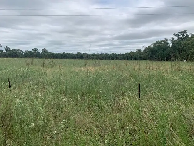 Third view of Homely rural property listing, 60 BARADINE AERODROME Road, Baradine NSW 2396