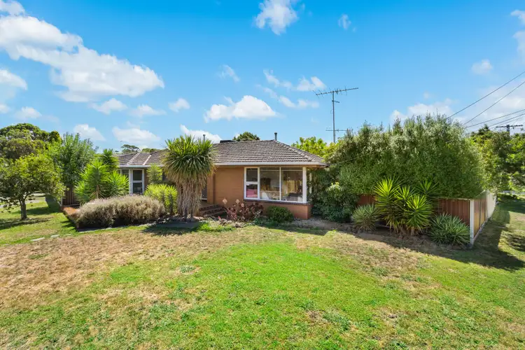 Main view of Homely house listing, 24 Fairfield Avenue, Belmont VIC 3216