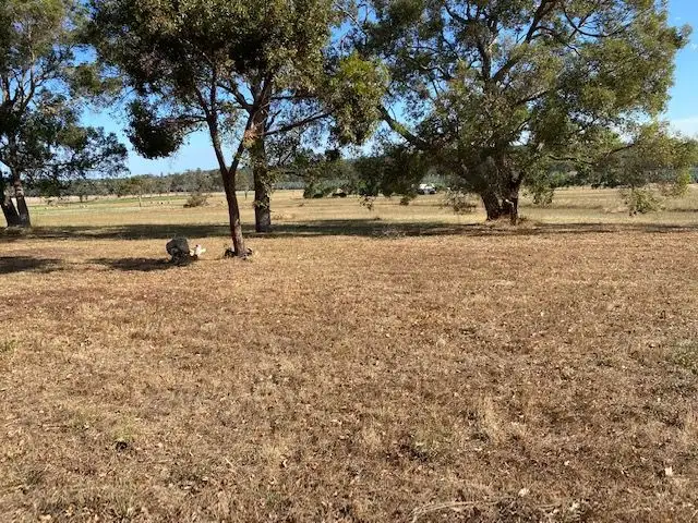 Second view of Homely land listing, 4 Crouch Court, Mount Barker WA 6324