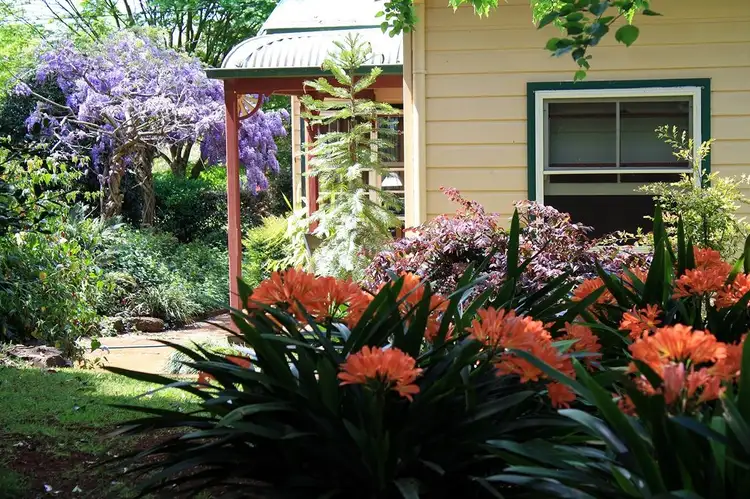Main view of Homely rural property listing, "Mossgrove" 589 Old Coast Road, North Dorrigo NSW 2453