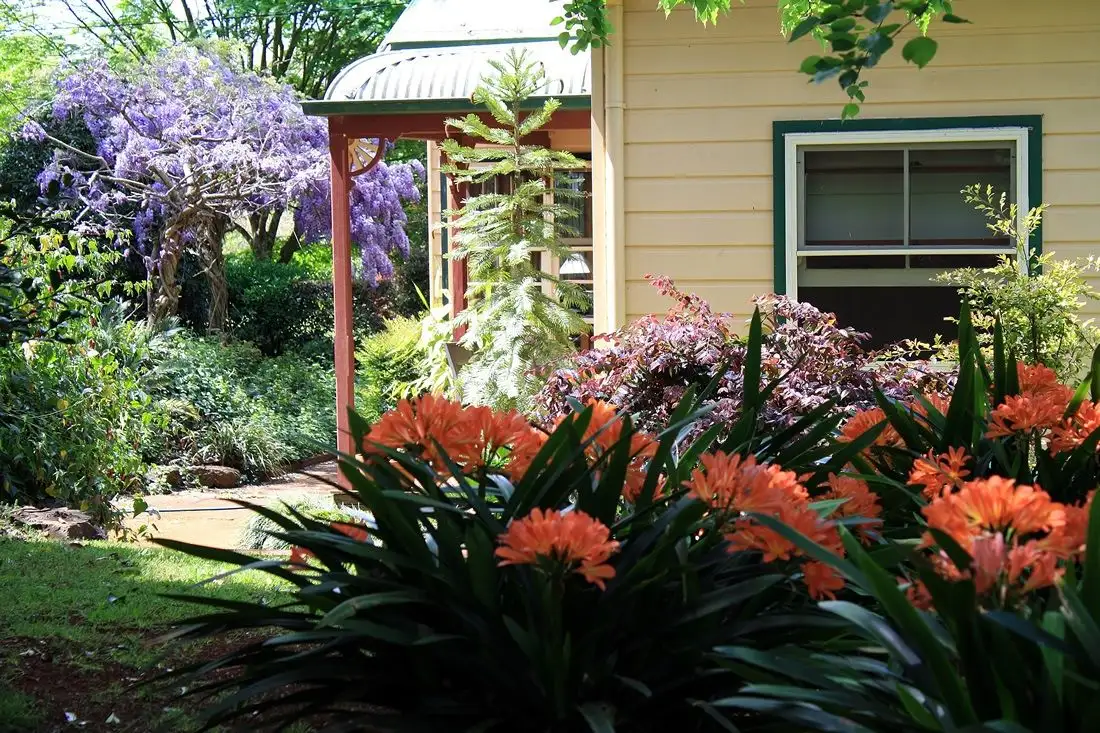 Main view of Homely rural property listing, "Mossgrove" 589 Old Coast Road, North Dorrigo NSW 2453