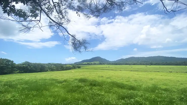 Fourth view of Homely land listing, Lots 329 & 8 El Arish/Mission Beach Road, Mission Beach QLD 4852