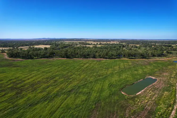 Second view of Homely rural property listing, 13774 Lachlan Valley Way, Condobolin NSW 2877