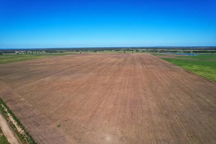 Fourth view of Homely rural property listing, 13774 Lachlan Valley Way, Condobolin NSW 2877
