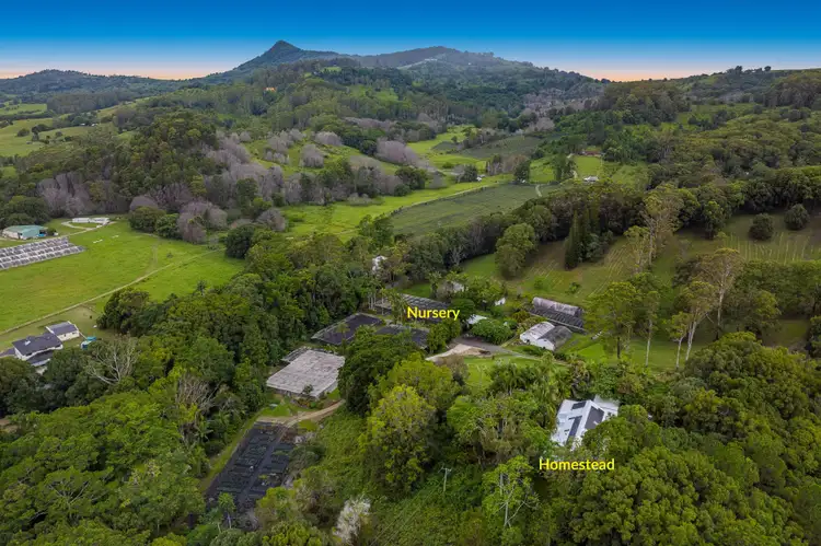 Second view of Homely rural property listing, 14 Sherringtons Lane, The Pocket NSW 2483