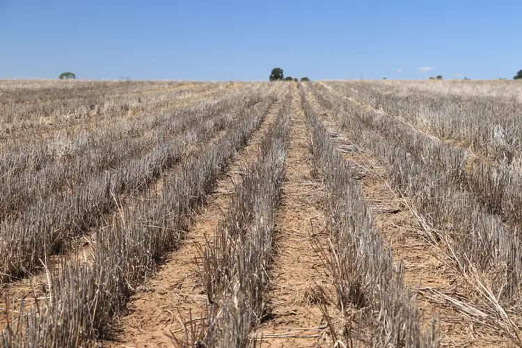 Sixth view of Homely rural property listing, 393 Mount Abundance Road, Roma QLD 4455