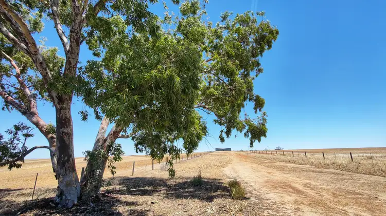 Main view of Homely rural property listing, Lot 2 Burngup Road South, Mallee Hill WA 6353