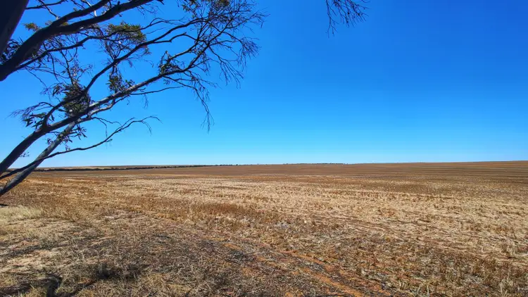 Fourth view of Homely rural property listing, Lot 2 Burngup Road South, Mallee Hill WA 6353