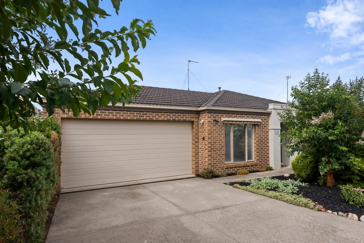 Main view of Homely house listing, 8/66 Wyndham Street, Drysdale VIC 3222
