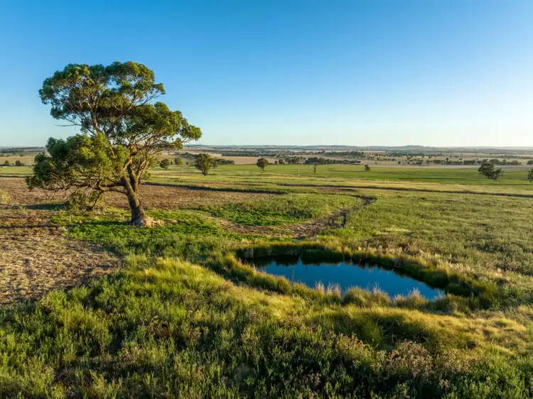 Sixth view of Homely rural property listing, 945 The Gap Road, Wagga Wagga NSW 2650