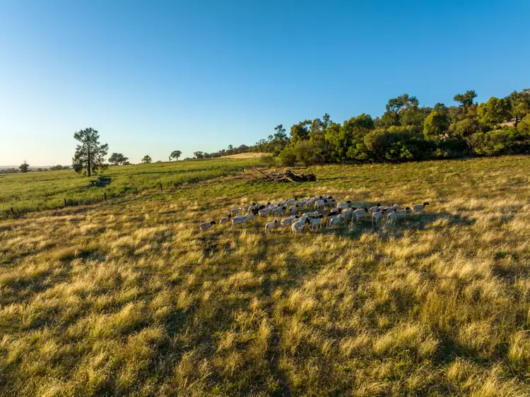 Seventh view of Homely rural property listing, 945 The Gap Road, Wagga Wagga NSW 2650